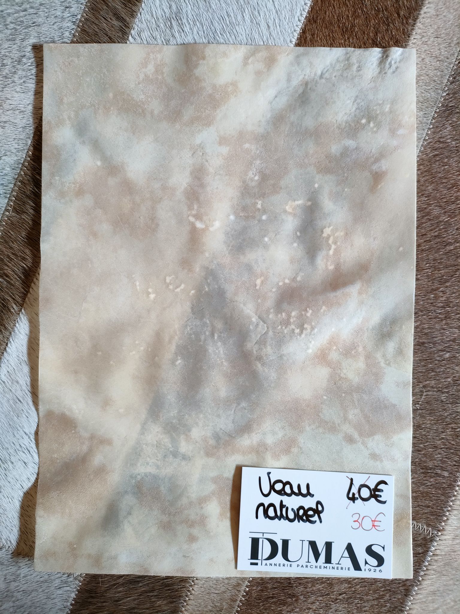 367996012_795687395629634_1205226823019462438_n