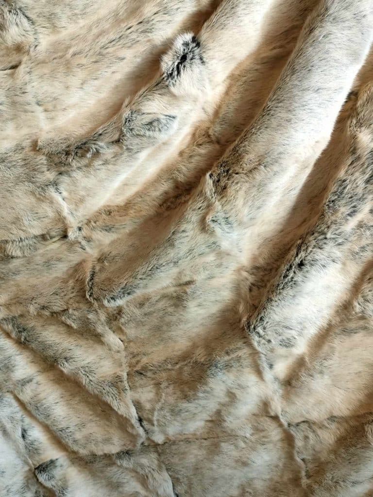 368156275_337347648639622_4242186488967637386_n