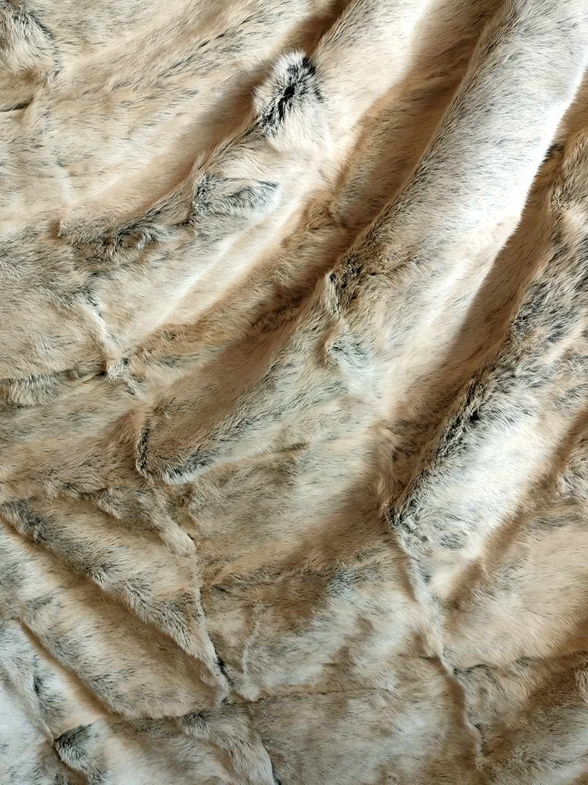 368156275_337347648639622_4242186488967637386_n