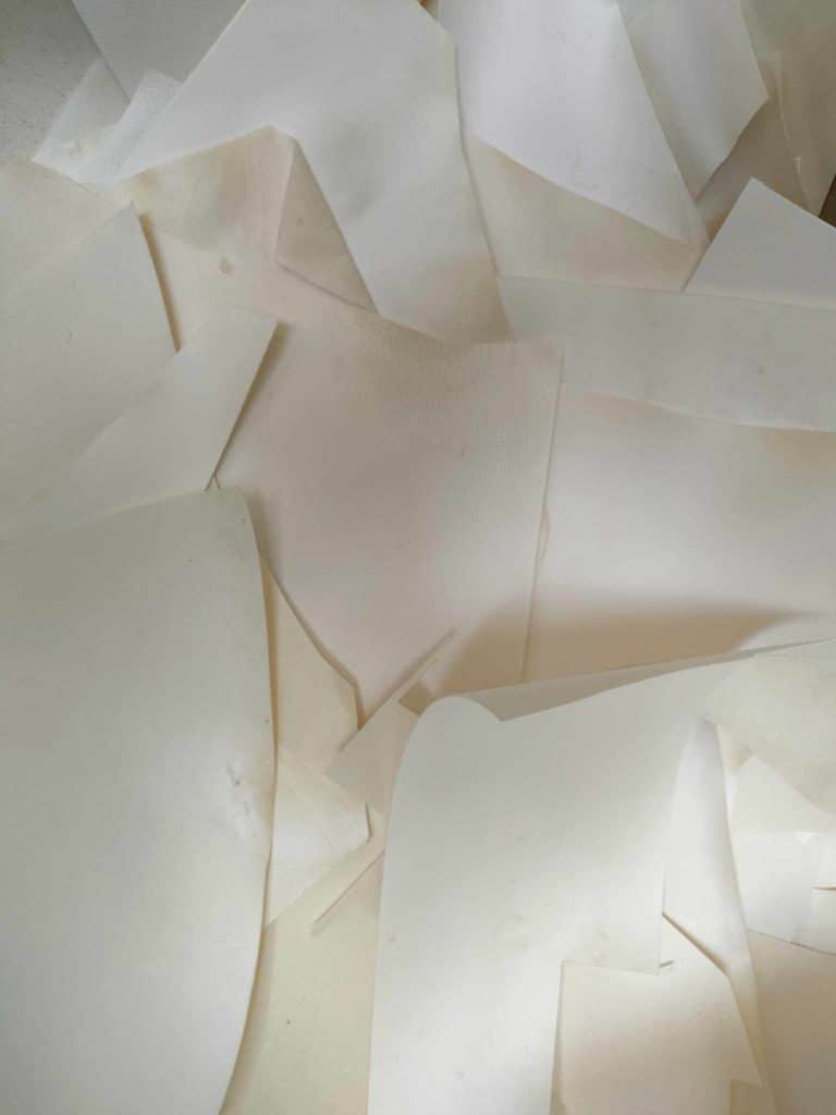 368295386_203922626011166_2717504861479455158_n