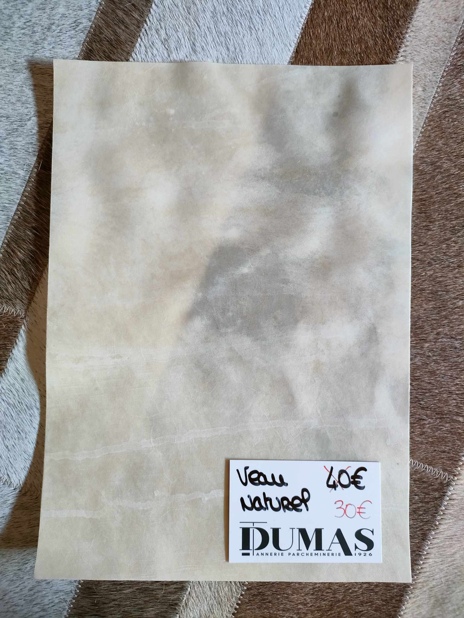 368395732_358972899788400_8186098906307504622_n