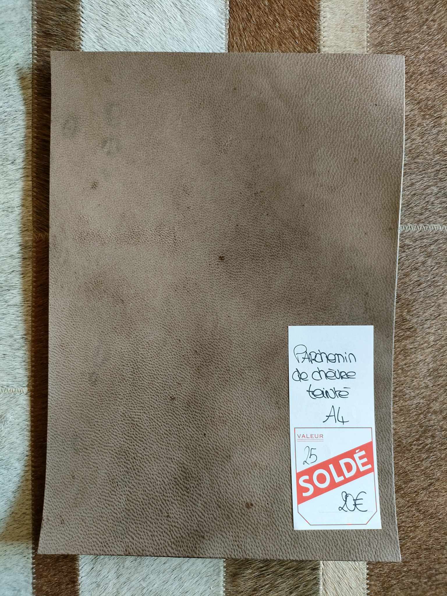 368440846_1042400023593542_8166449438445556988_n