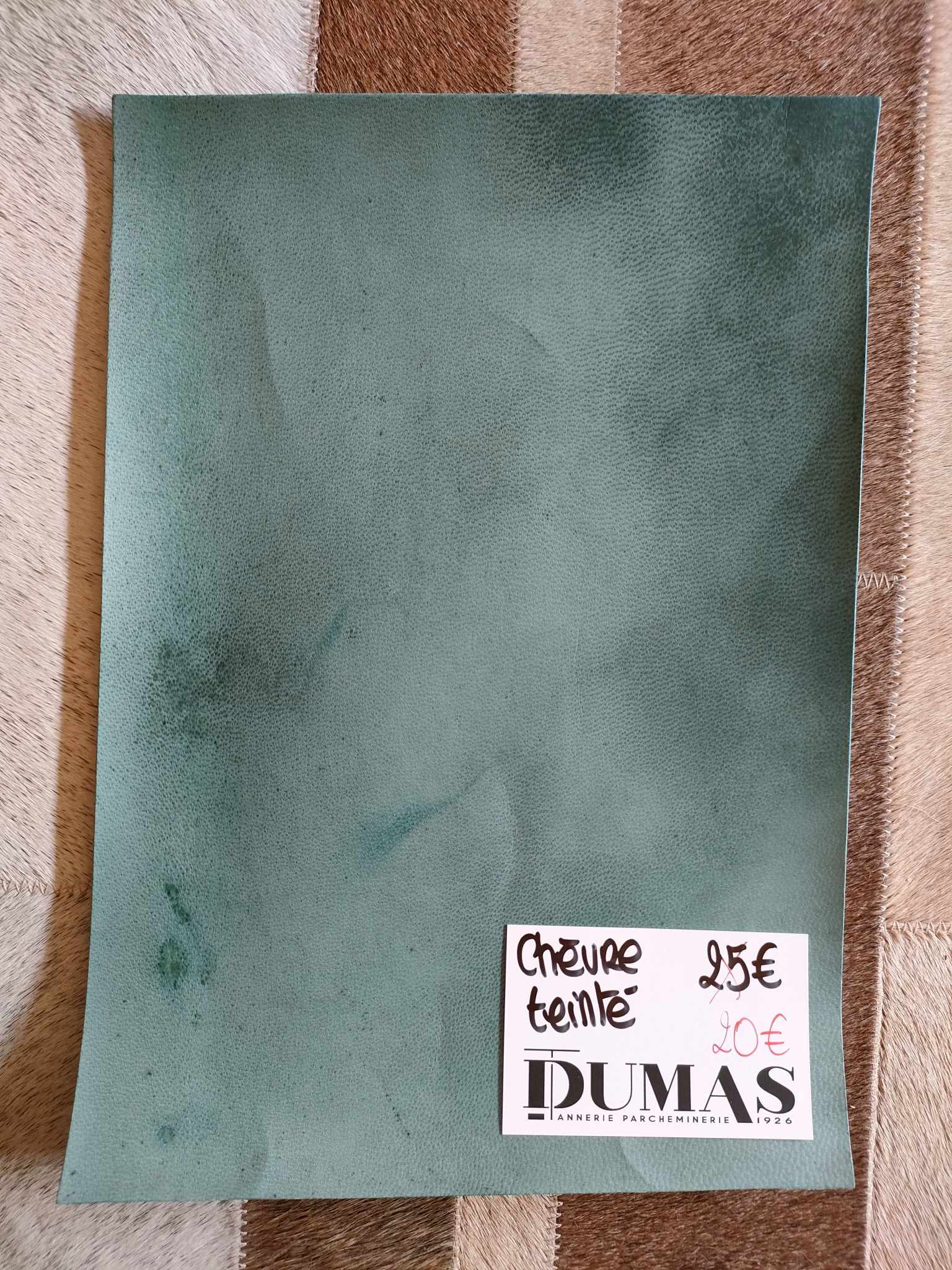 368448633_316675720857212_1324992850292773579_n