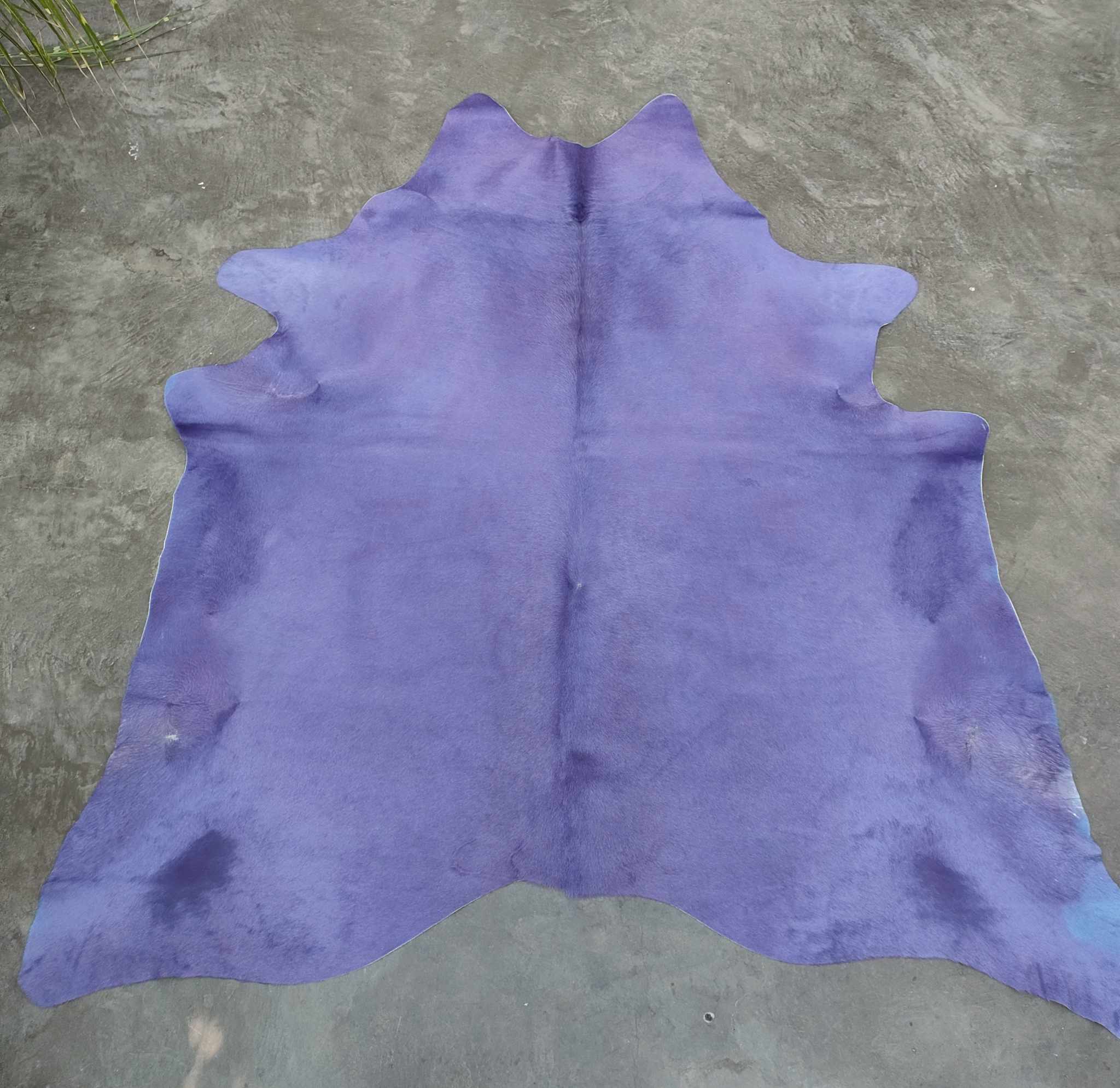 371133629_1004984780645018_3254171670157322032_n