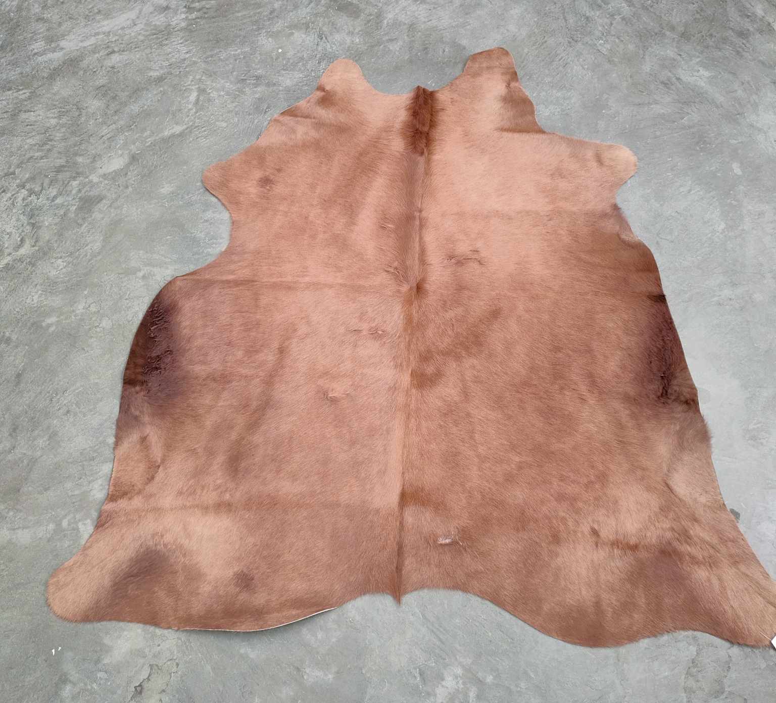 371133654_1301200987179312_3170806136489727536_n