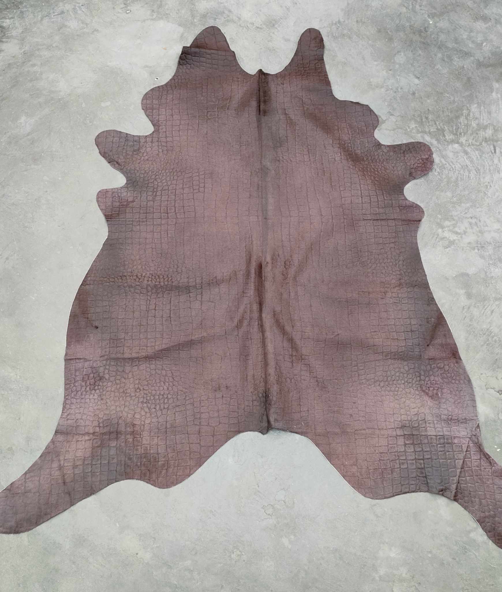 371137330_235497919481824_6167459277175301504_n