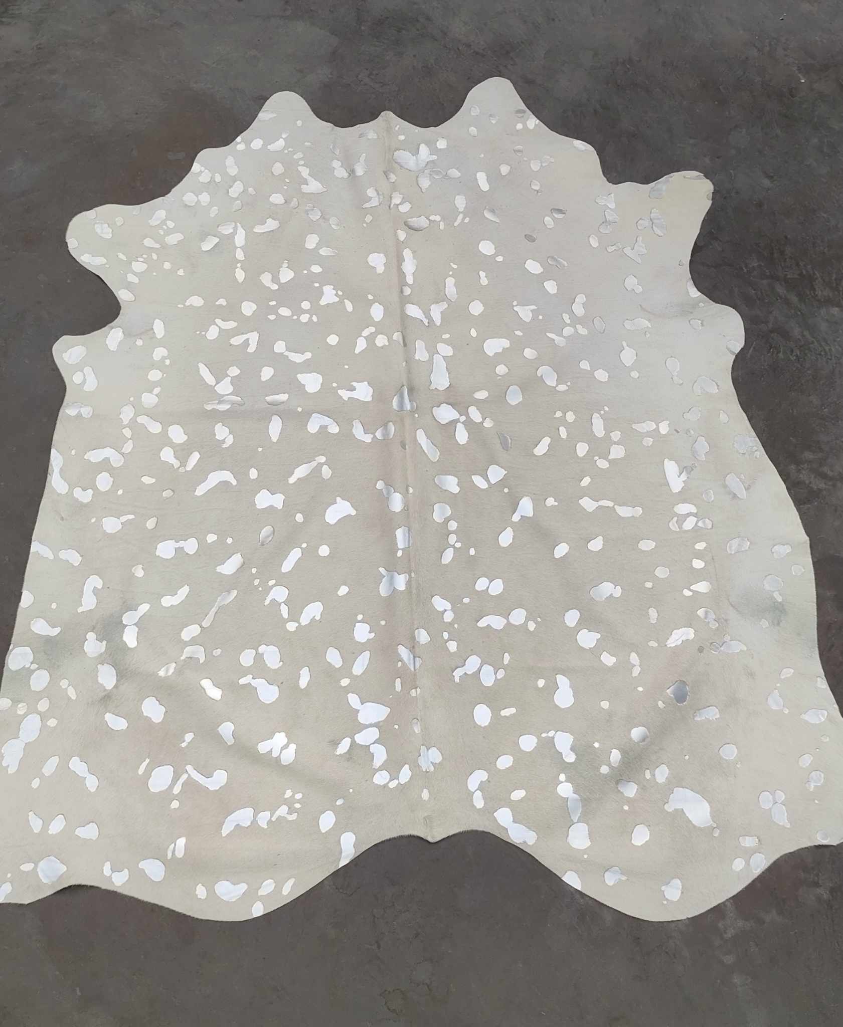 371138979_3640752339540967_8506964338609192745_n