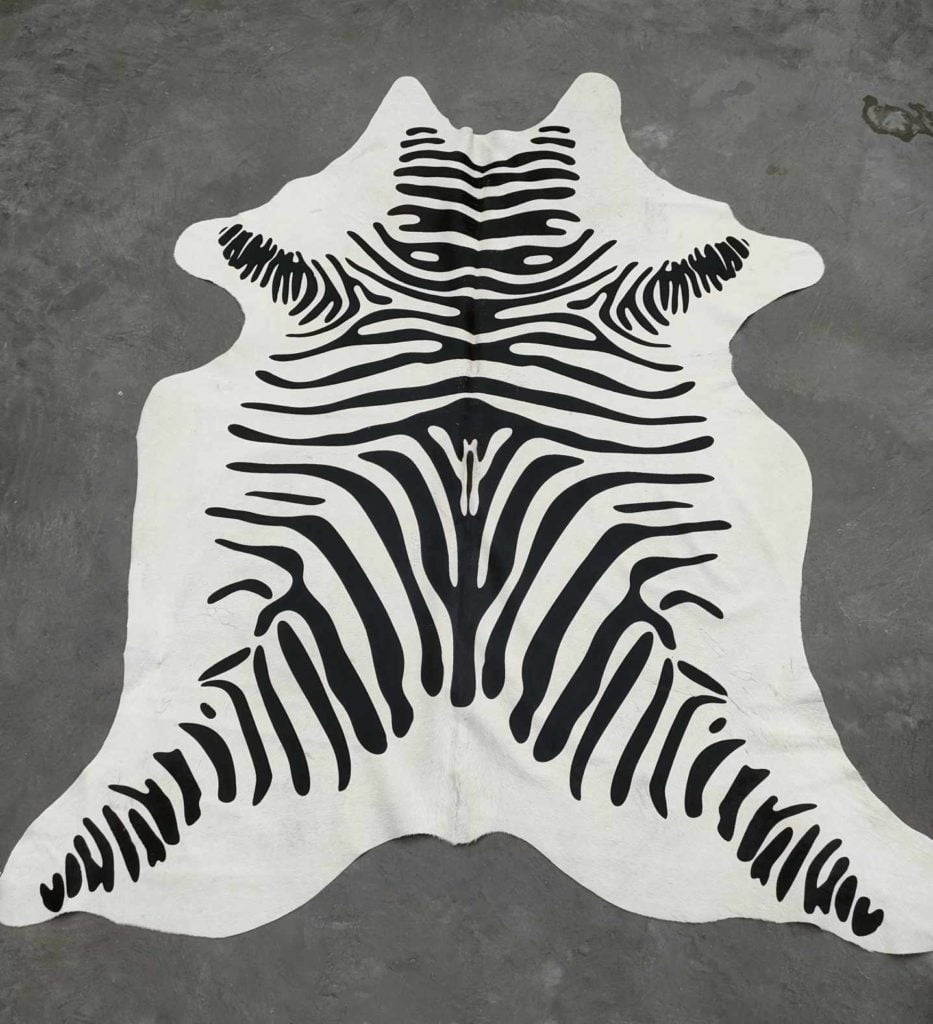 371144164_312260341279848_2252792969765792076_n