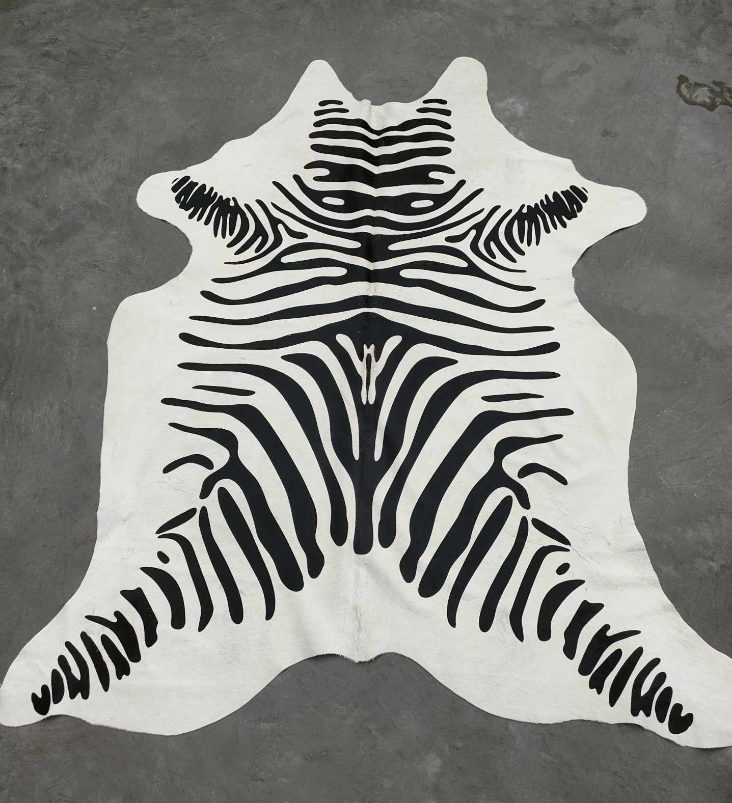 371144164_312260341279848_2252792969765792076_n