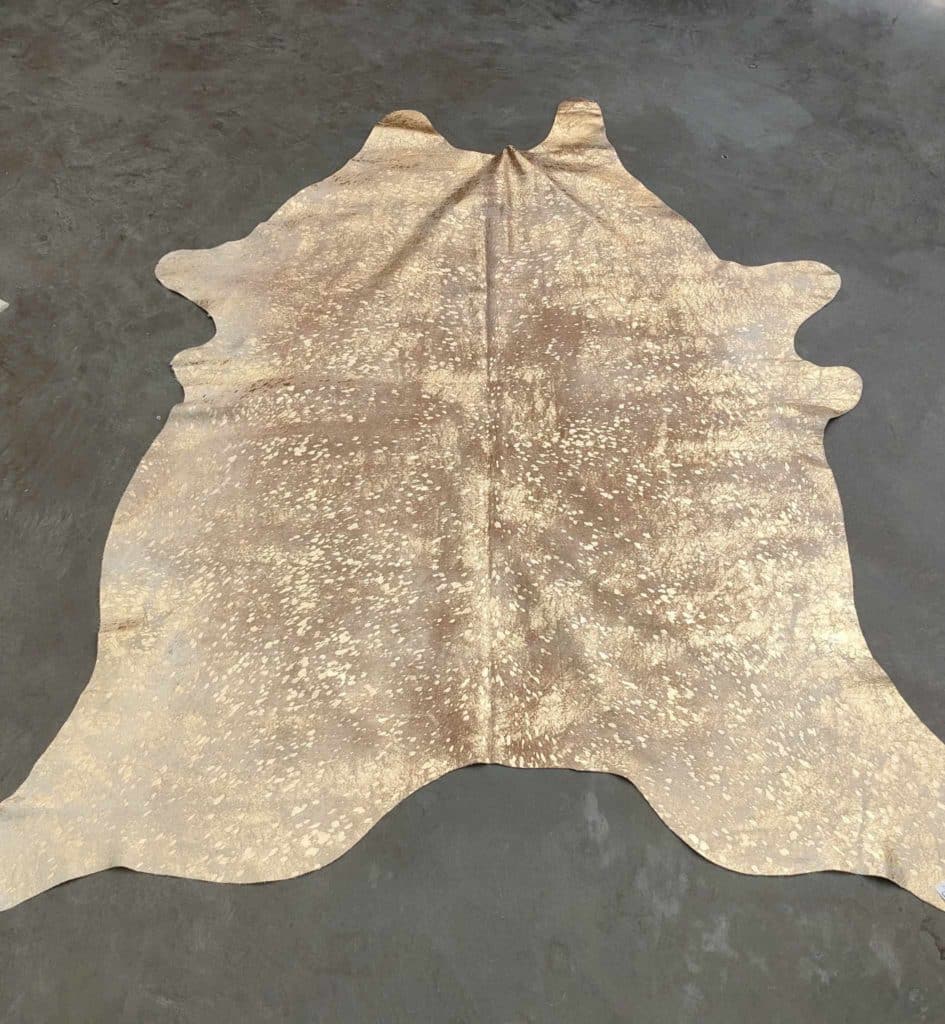 371153715_1408607520037657_1974781489473140417_n