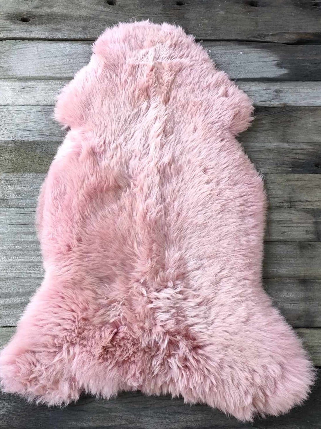 423221284_903061804630862_8632031523478709128_n