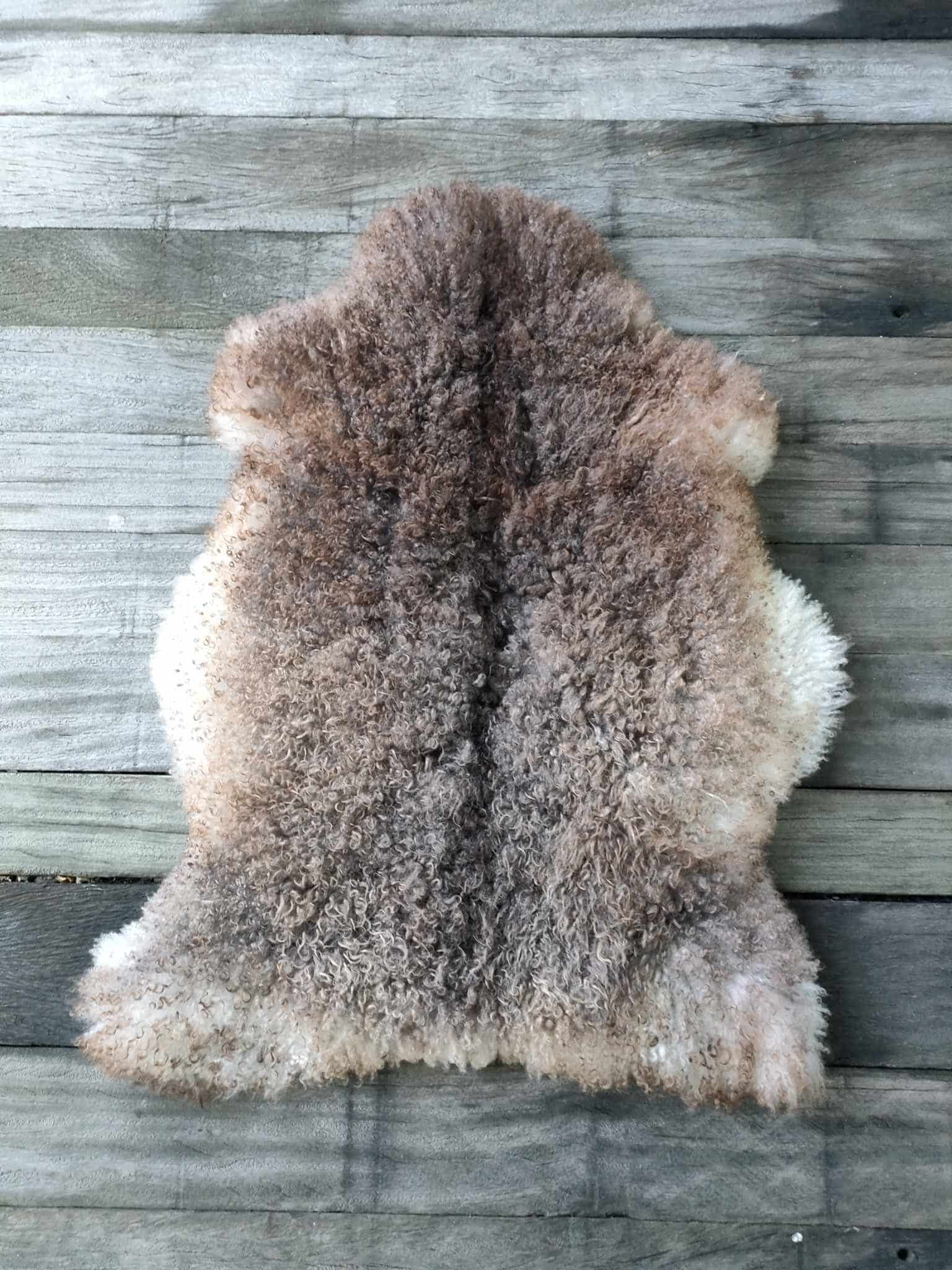 423422330_1458693751525224_150406046486422351_n