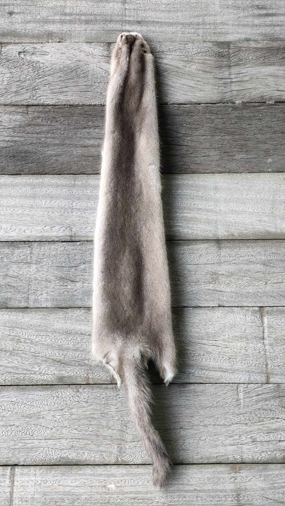 Léopard de Sibérie en fourrure, posé contre un mur en bois clair, mettant en valeur la qualité et la texture de la laine. Parfait pour une image de luxe, de nature ou de mode faunique.