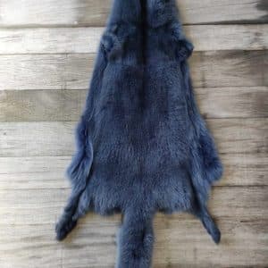 Blue Fox