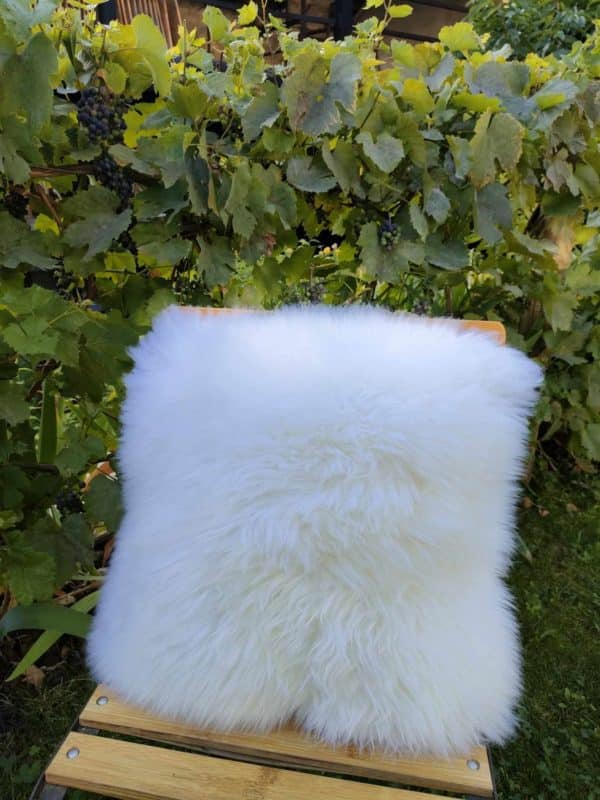 White Sheep Cushion