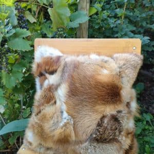 Coussin Renard Roux
