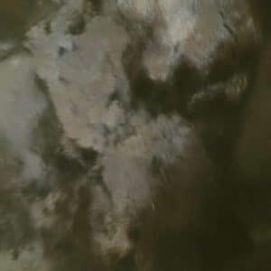 Chocolate Bunny Throw