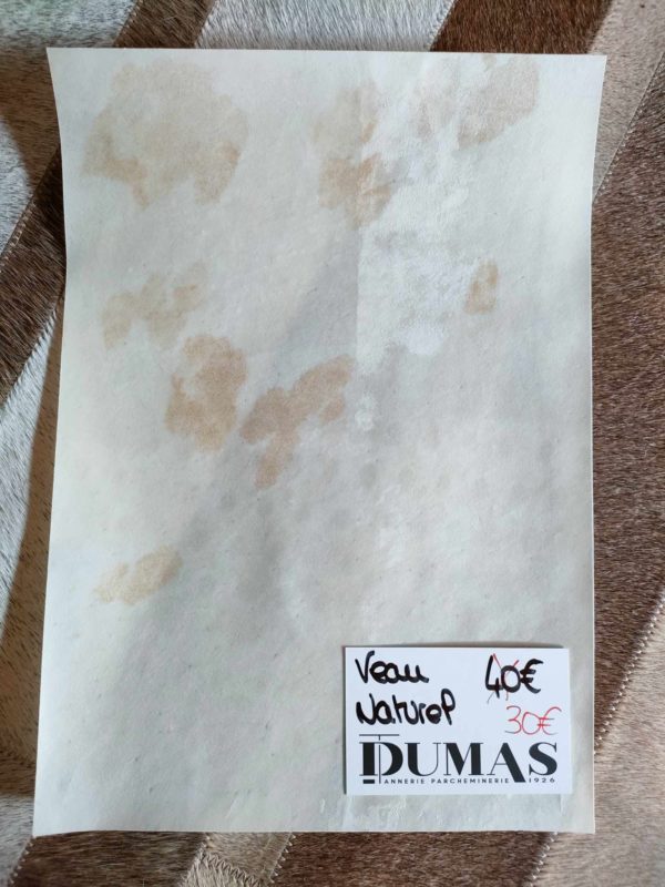 A4 Decimocuarto veal