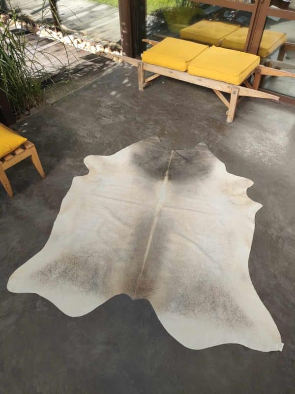 Butterfly cow