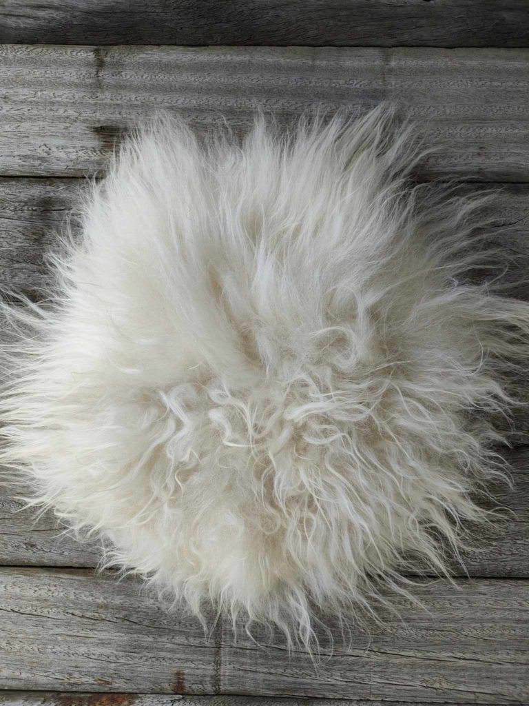 376390328_1827095237740512_5444689882869882504_n