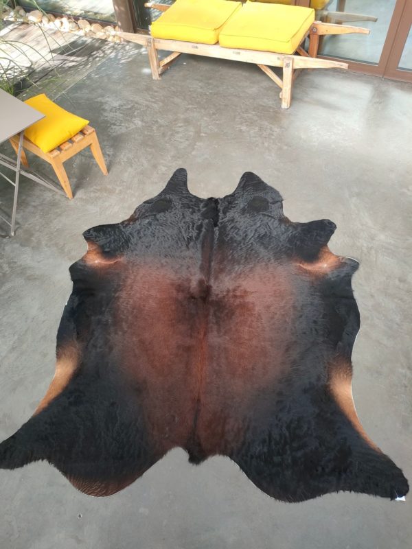 Cow Fire