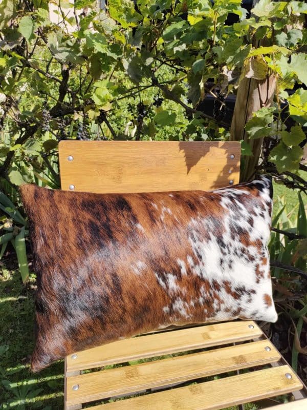 Coussin en Normande Bringée/Tachetée
