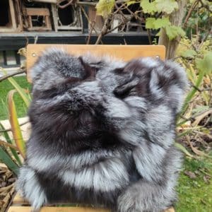 Coussin Renard Silver