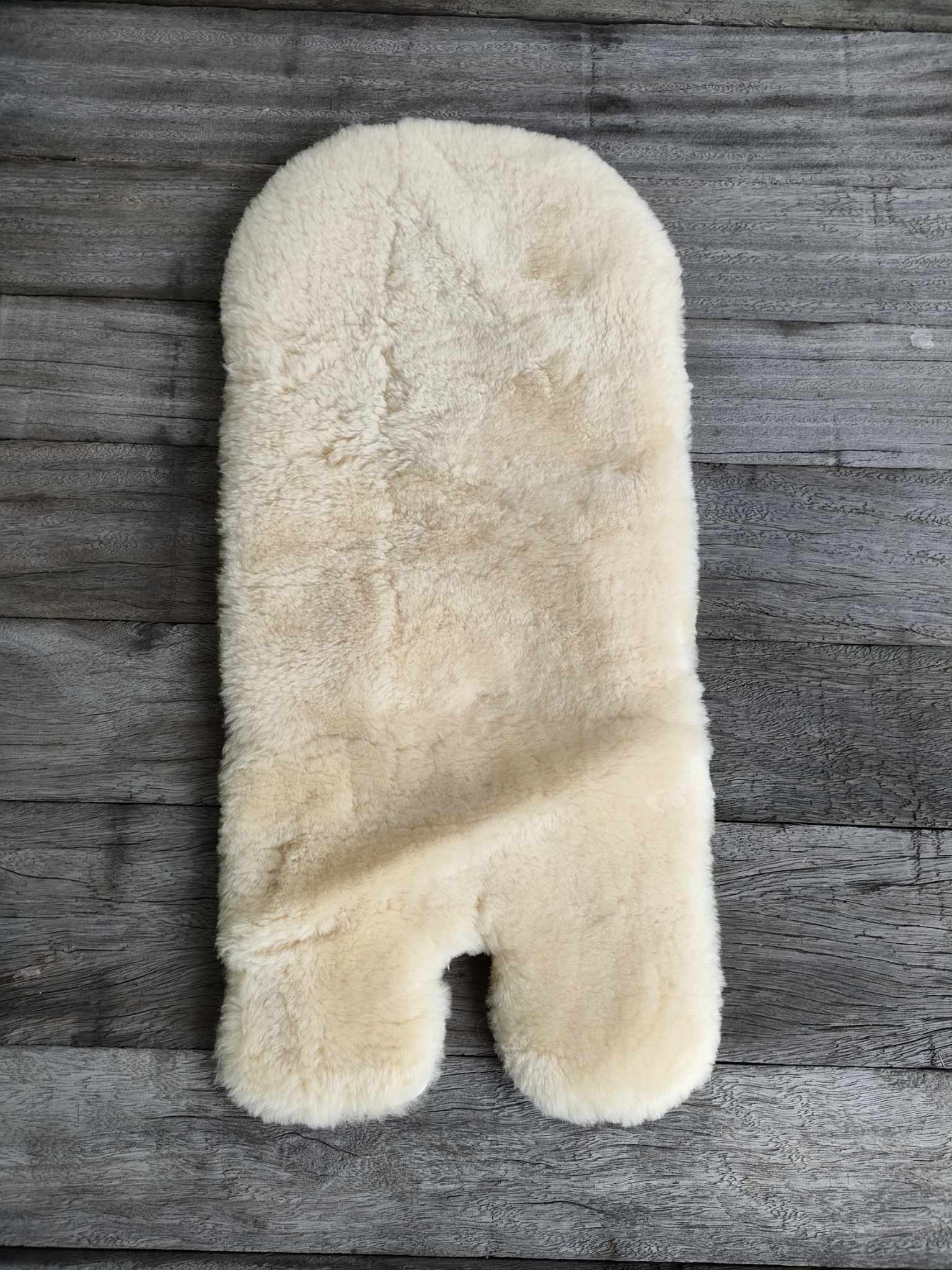 387502290_365336909213180_5306411432966255783_n