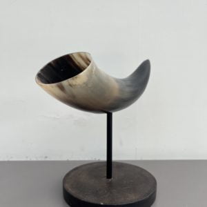 Horn on display