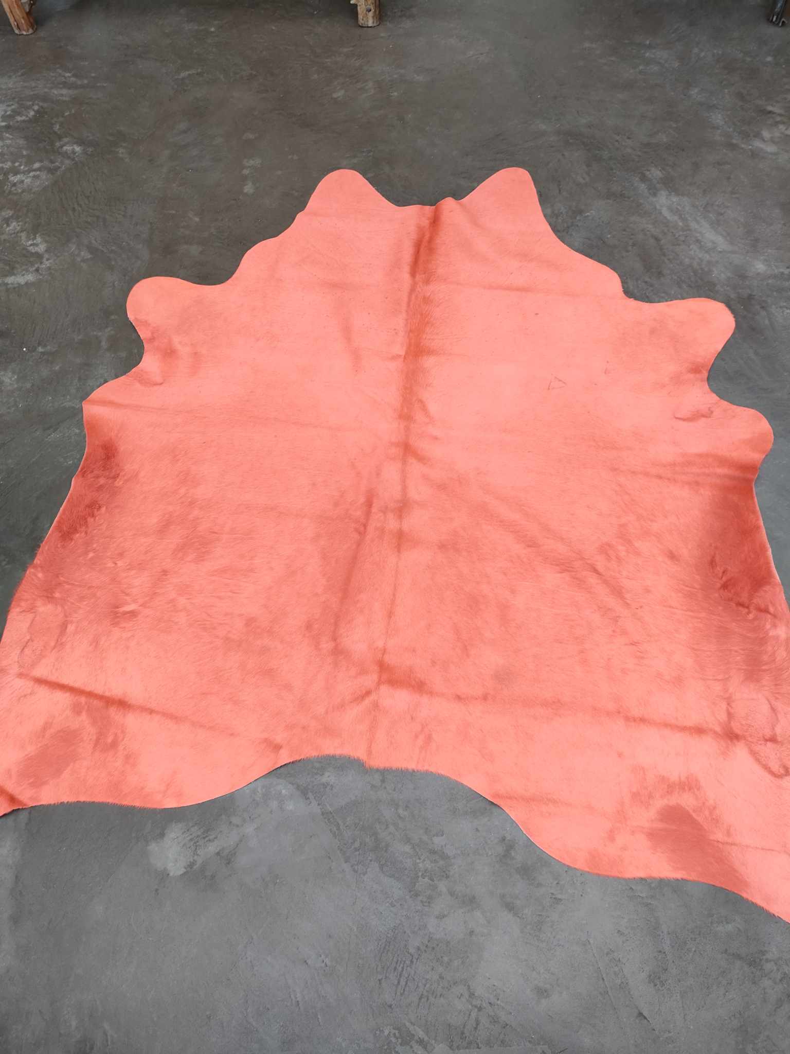 406991352_3612794789042469_2889160133233146276_n