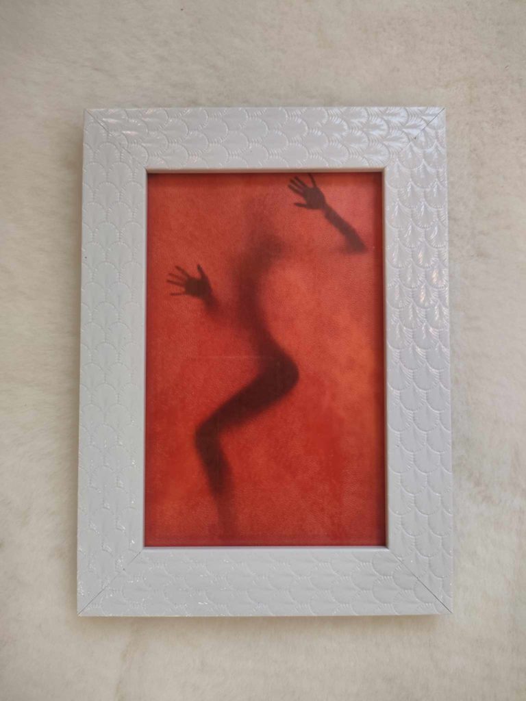 386853680_220507837660330_5617671606805503823_n