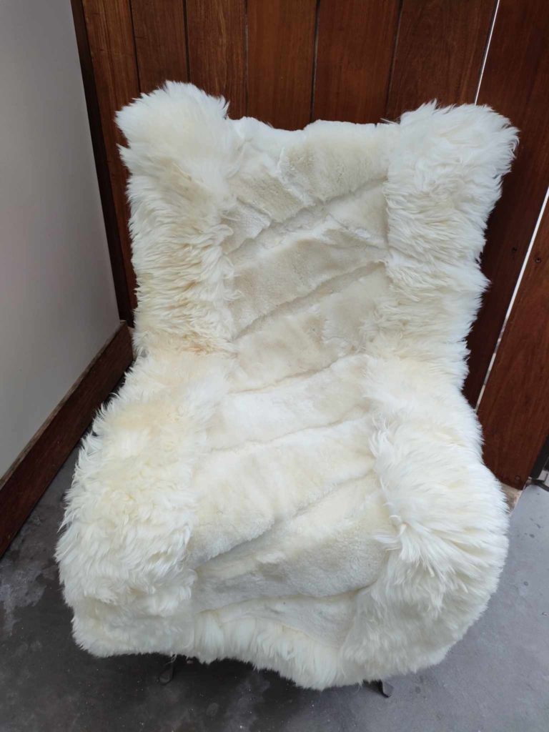 403408133_1060146128474694_6184940881488105230_n