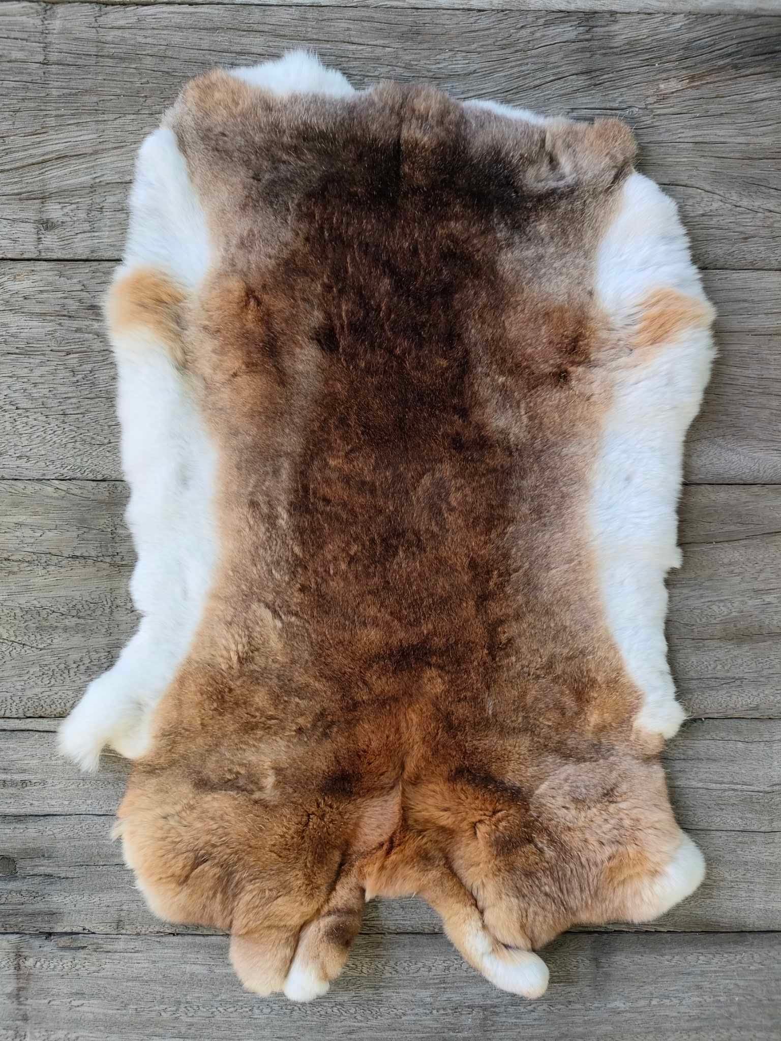 430948681_768001275258363_4851087551281097902_n