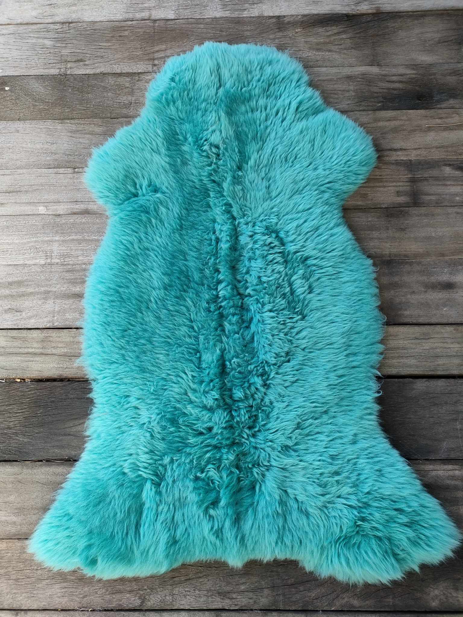 430957070_440041445253930_2833362247386009396_n