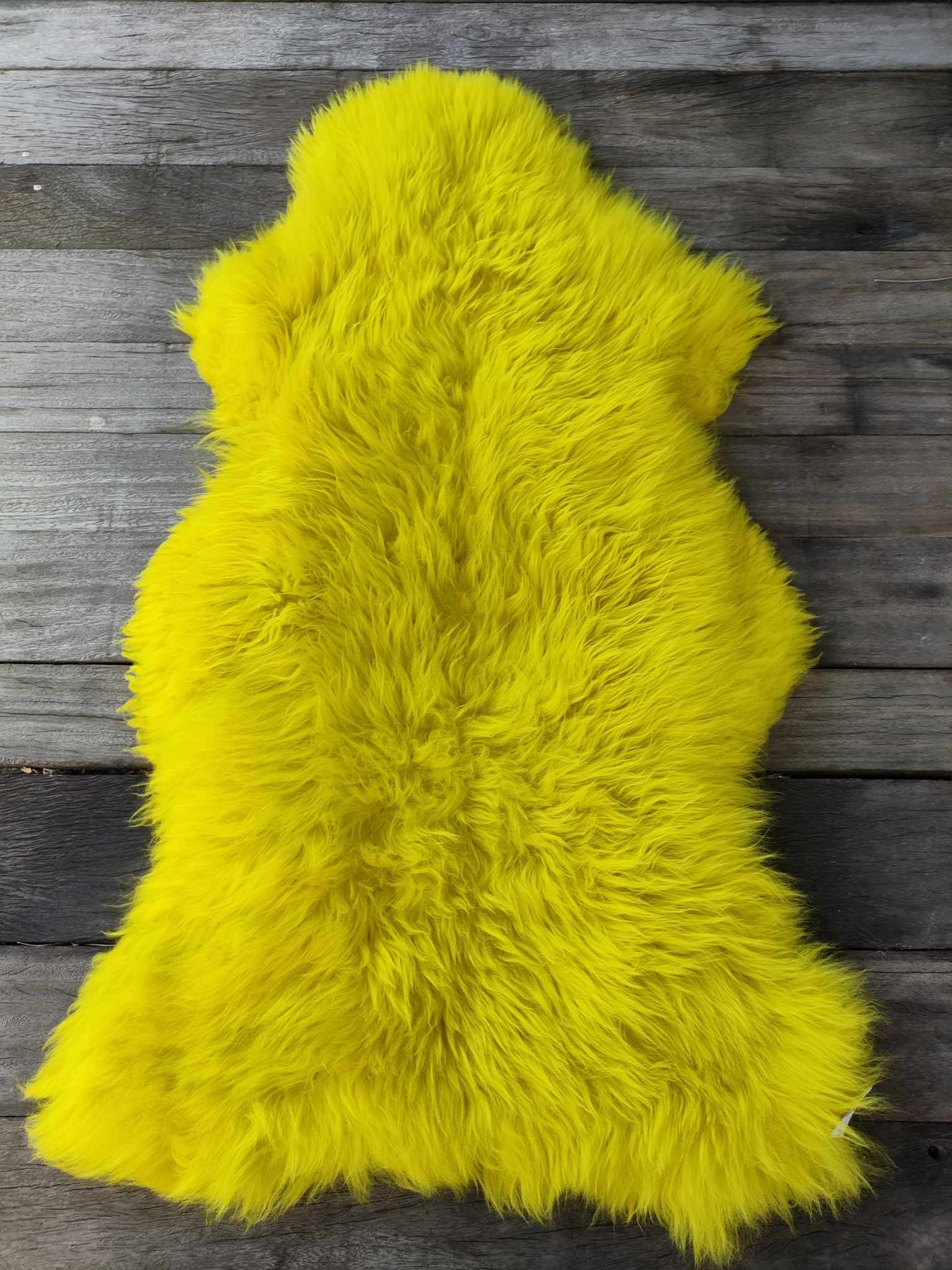 431014570_374793598718890_5036686867335897335_n