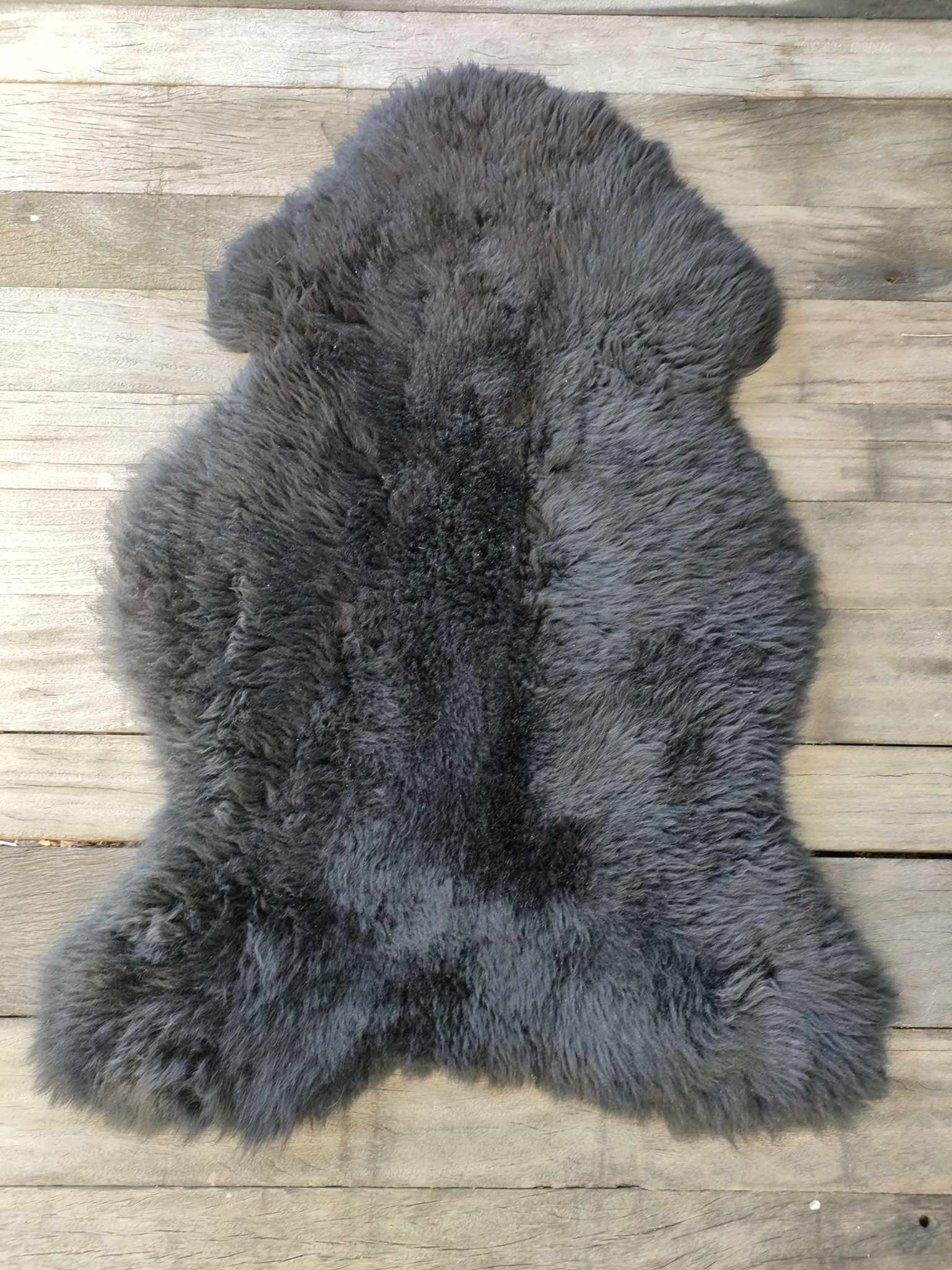 433482658_940861844333940_8615179315341647078_n