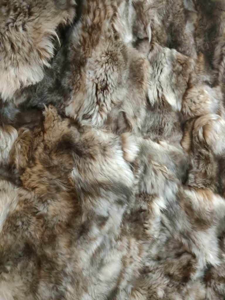 462569653_364425056759044_7042417167528792014_n