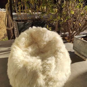 Michigan-fur-chair-around-nature-CA1u8W6d3cq.jpg.