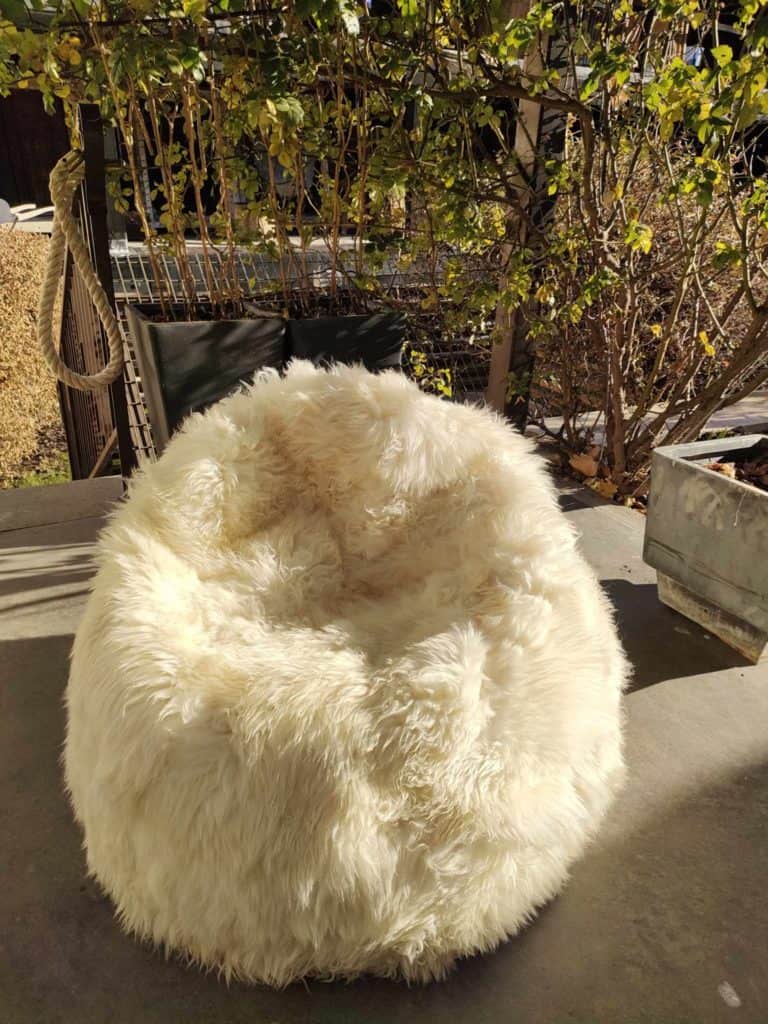 462578105_521967784189991_292455838571726061_n