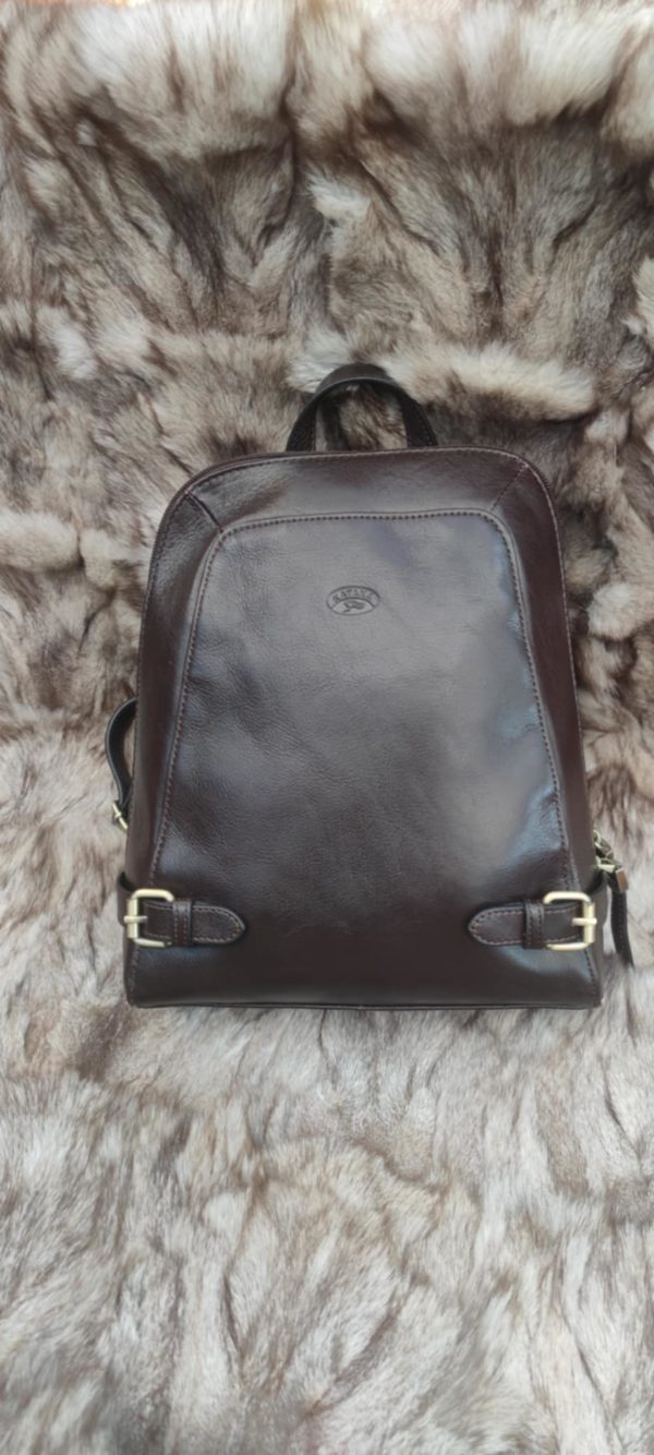 Sac Carole