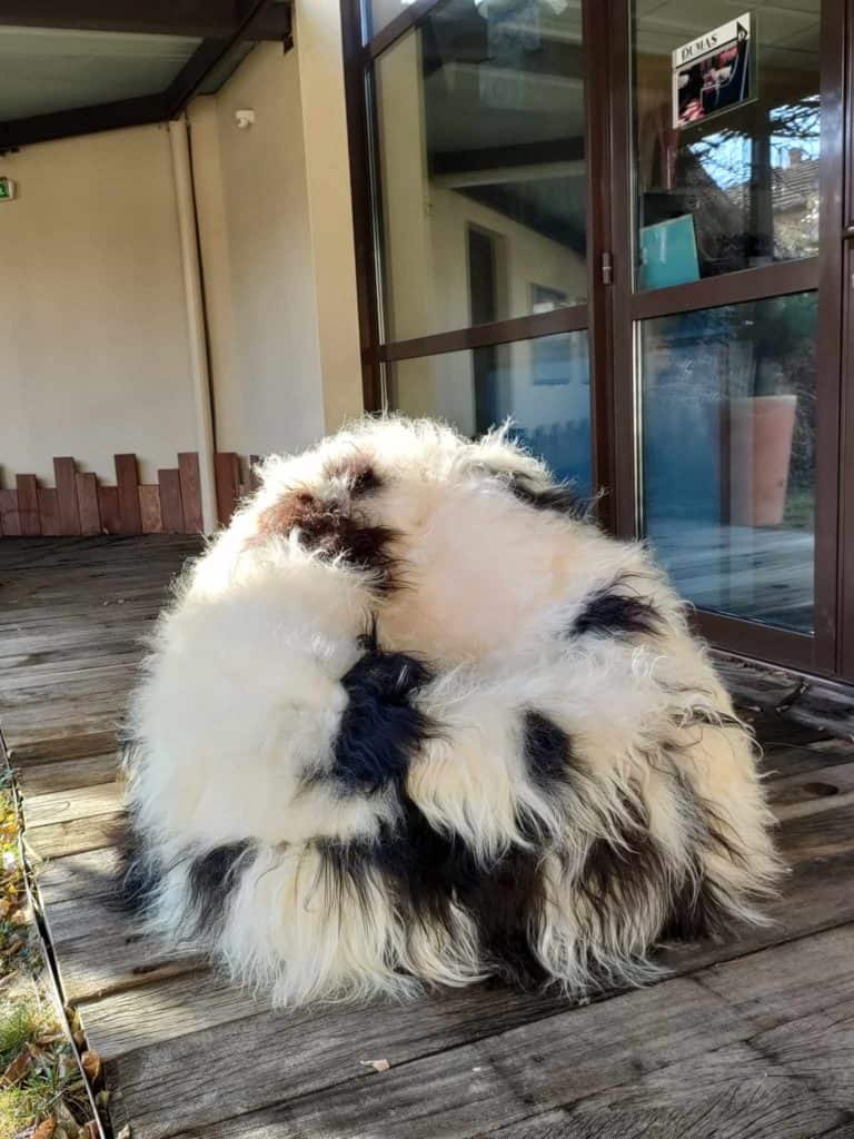 472353856_941258484346446_5134361634185583157_n