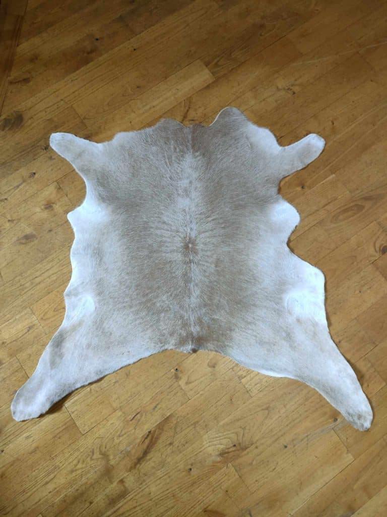 483128947_665134359254966_5595172802073503262_n