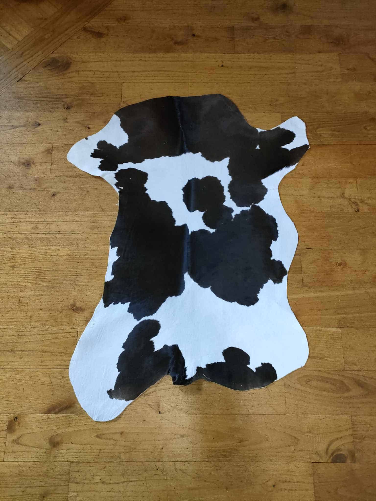 485030116_1351712809304795_3237512517890844799_n