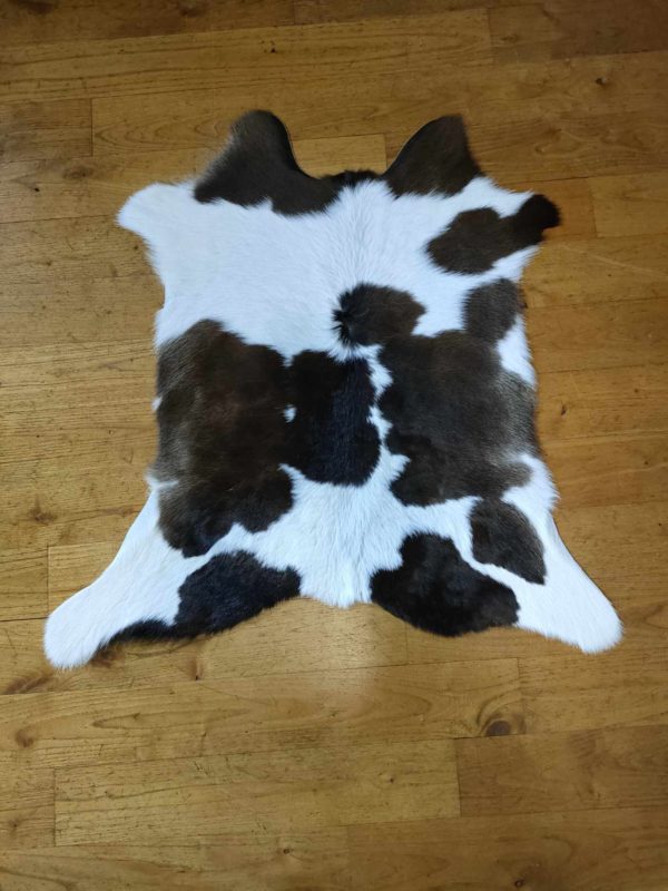 Bogos calf skin
