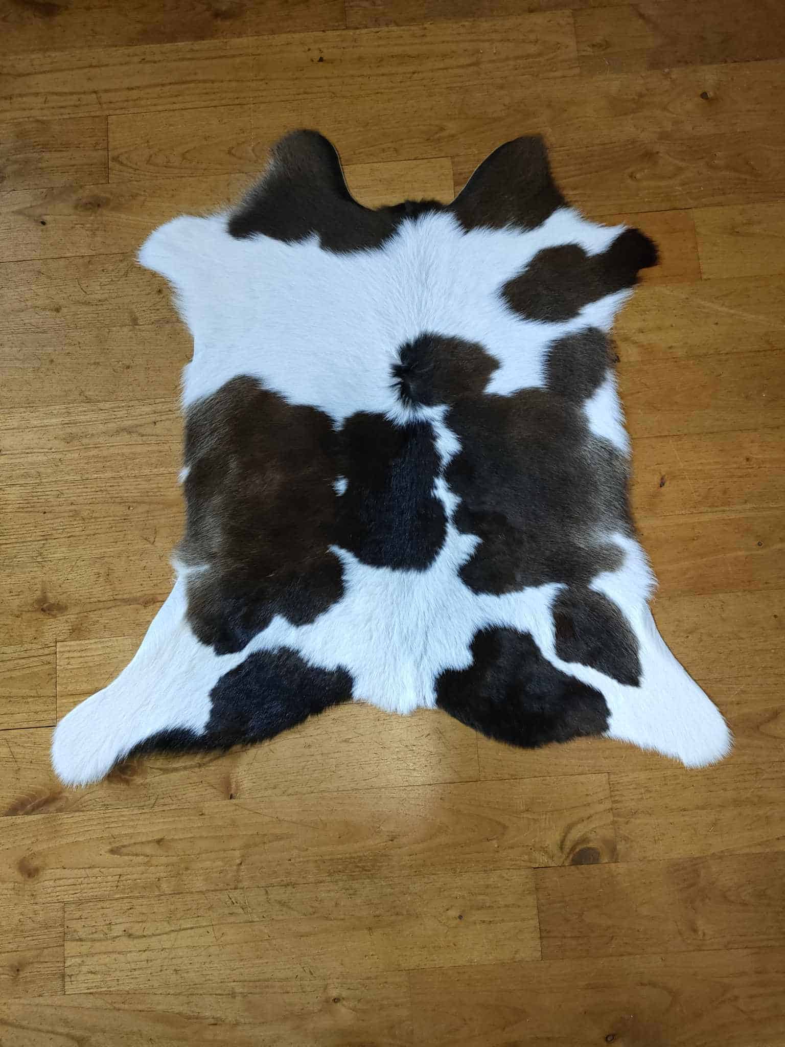 Trappe de vache tachetée noire et blanche sur un sol en bois, uni et décoratif, dans une ferme ou un espace rural, symbolisant l’élevage bovin et le savoir-faire en artisanat de Tannerie Dumas.