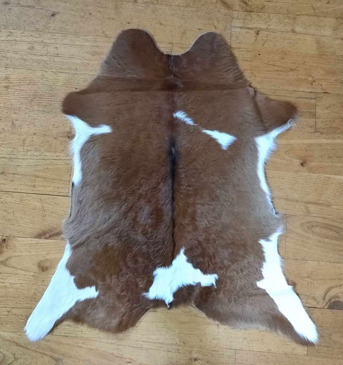 485993440_1202561541422188_5709359110408932794_n