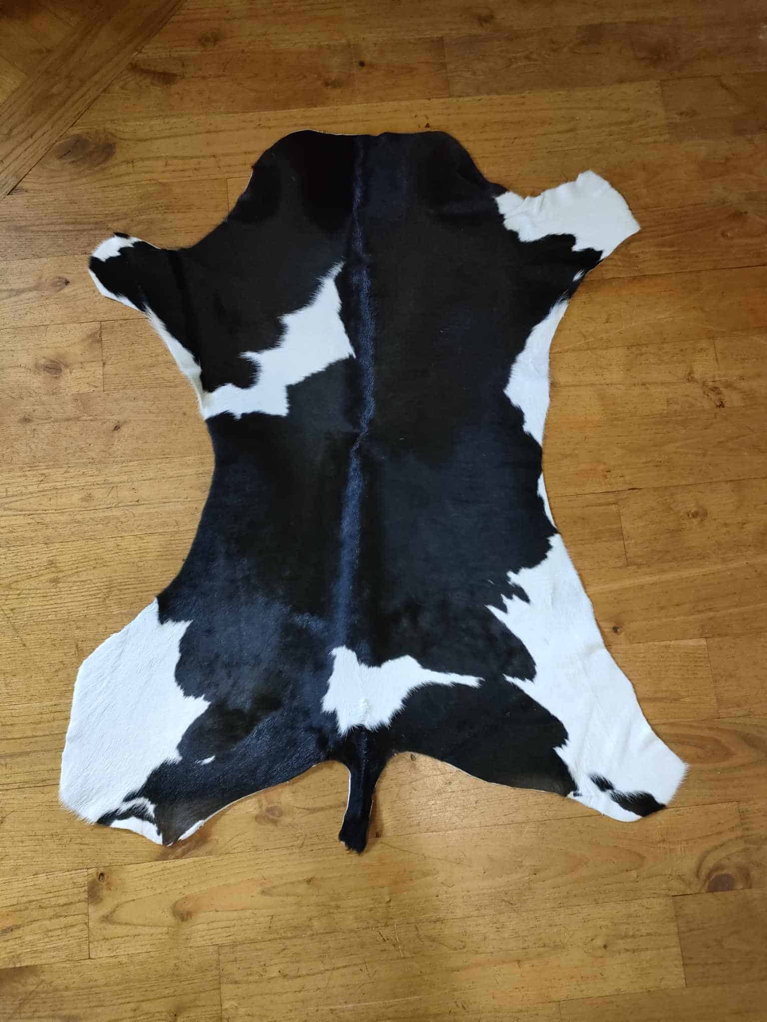 486450263_2106429993116978_3291536189249439722_n