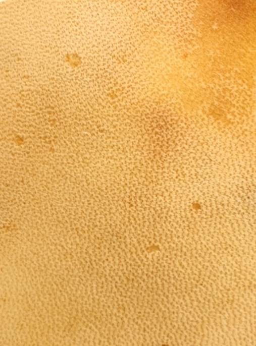 341285053_746471113851043_5813863899453008296_n