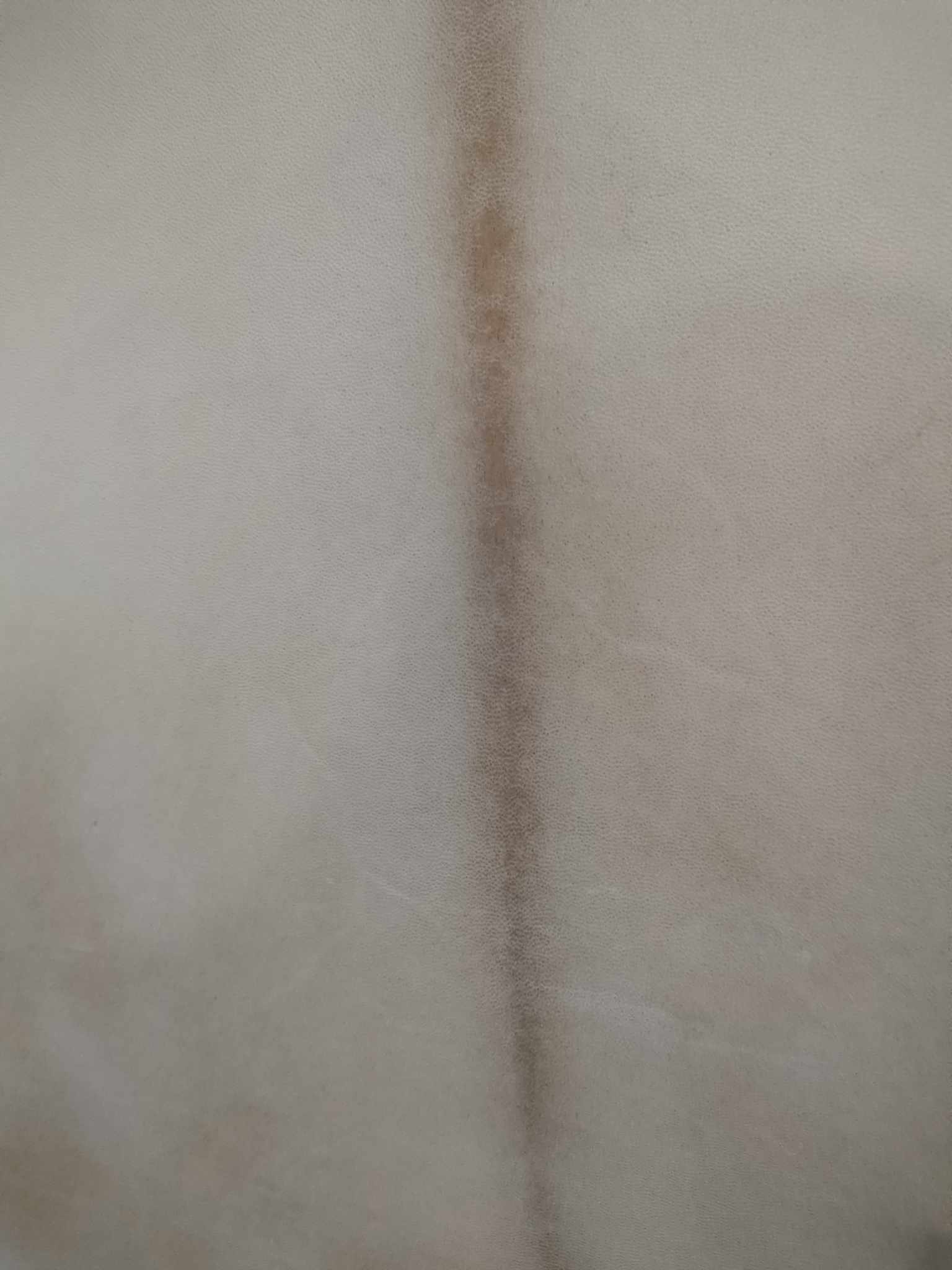 416271831_1423790571582744_809160733475520490_n