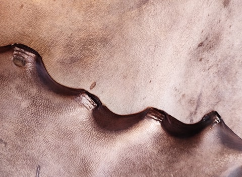 118953554_339244313938385_3900097058517033167_n